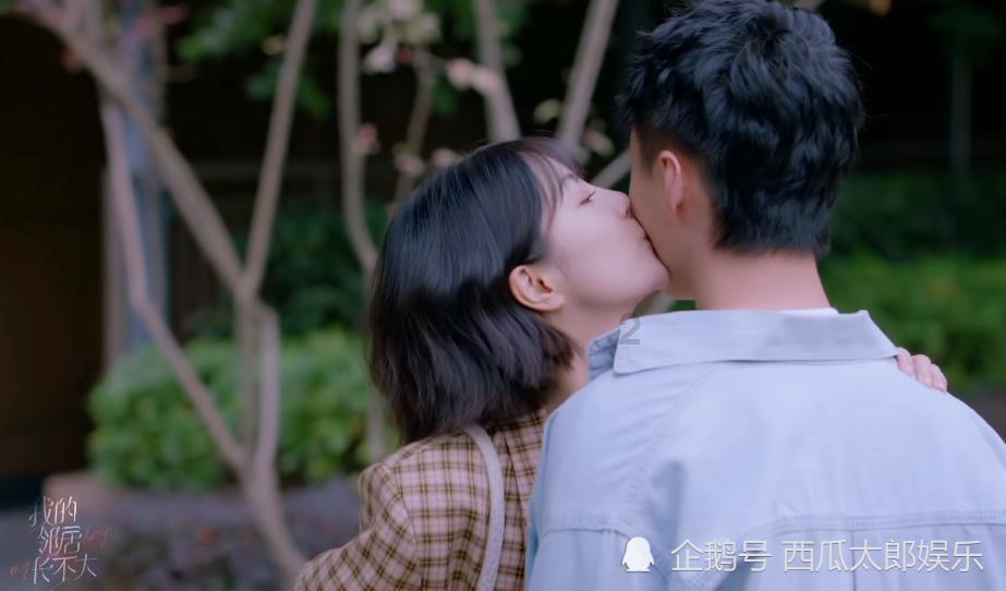 破碎的动物图形2